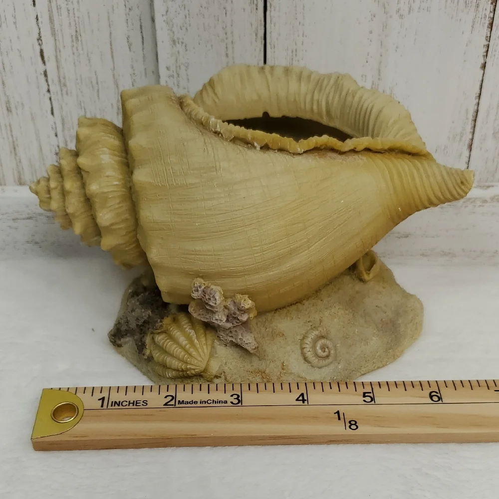 Conch Shell Seashell Planter Beach Ocean Coastal Decor
